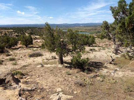 Farm and Ranch in Duchesne County, Utah