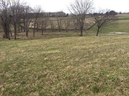 Undeveloped Land in Russell County, Kentucky