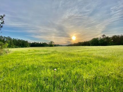 Recreational Property in Tyler County, Texas