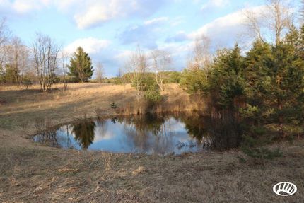 Undeveloped Land in Wexford County, Michigan