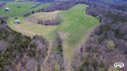 Timberland Property in Robertson County, Kentucky