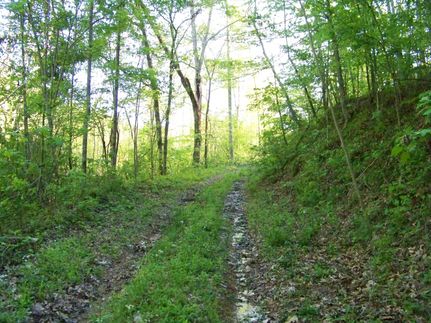 Farm and Ranch in Etowah County, Alabama