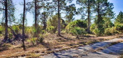 Homesite in Sarasota County, Florida