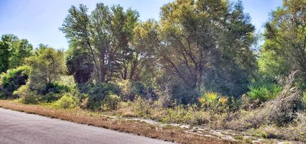 Undeveloped Land in Sarasota County, Florida