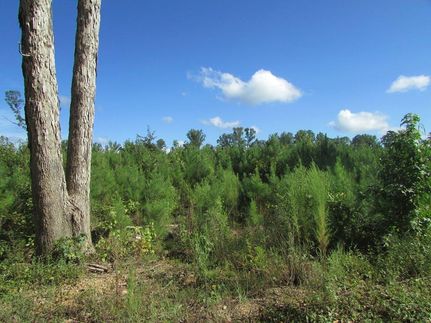 Land in Kershaw County, South Carolina