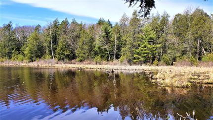 Waterfront Property in Sullivan County, New York