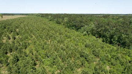 Timberland Property in Polk County, Texas