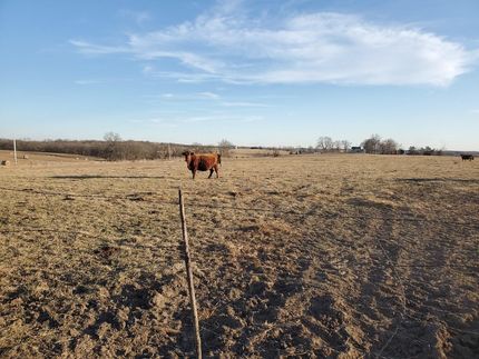 Recreational Property in Scotland County, Missouri