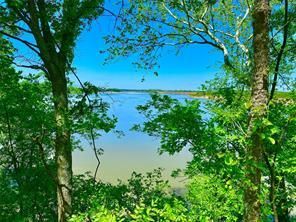 Undeveloped Land in Fannin County, Texas