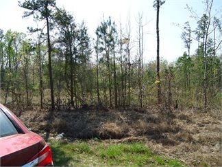 Recreational Property in Nottoway County, Virginia