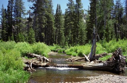 Land in Alpine County, California