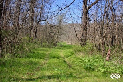 Farm and Ranch in Jasper County, Missouri