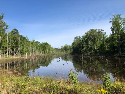 Timberland Property in Macon County, Alabama