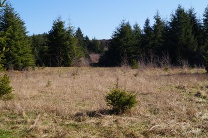 Land in Grays Harbor County, Washington