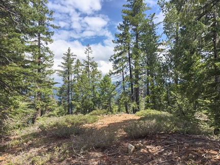 Undeveloped Land in Sierra County, California