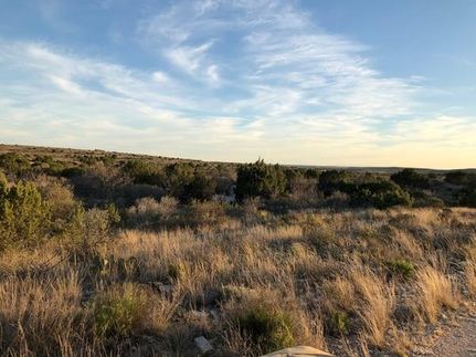 Farm and Ranch in Val Verde County, Texas