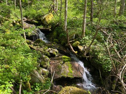 Land in Madison County, North Carolina