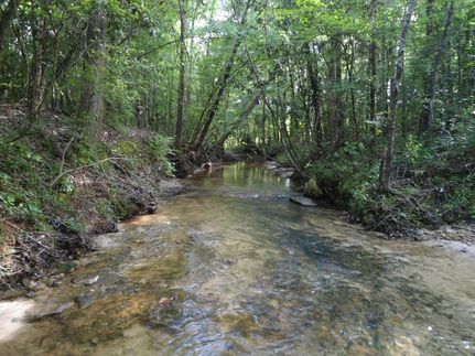 Farm and Ranch in Choctaw County, Alabama