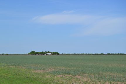 House in Zavala County, Texas