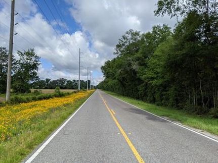 Undeveloped Land in Suwannee County, Florida