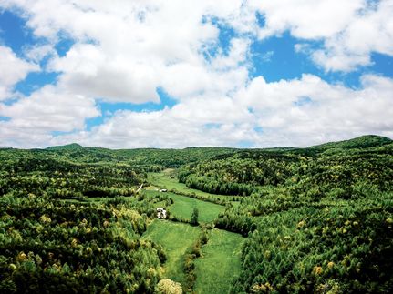 Farm and Ranch in Oconee County, South Carolina