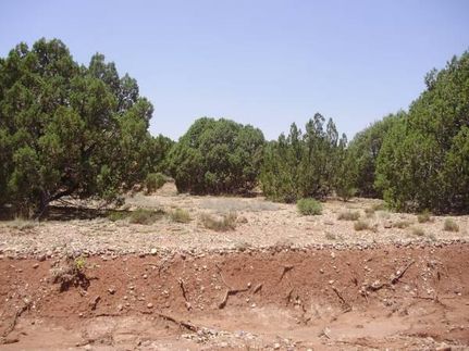 Undeveloped Land for sale in Navajo County, Arizona