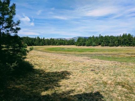 Farm and Ranch in Mora County, New Mexico