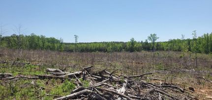 Undeveloped Land in Amelia County, Virginia