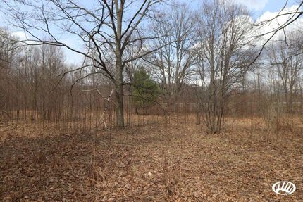 Undeveloped Land in Wexford County, Michigan