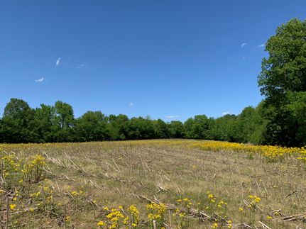 Farm and Ranch in Hardeman County, Tennessee