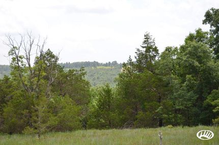 Timberland Property in Ozark County, Missouri