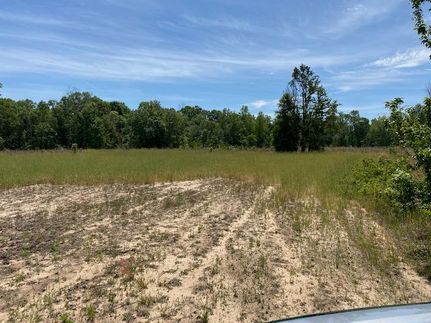 Recreational Property in Bullock County, Alabama