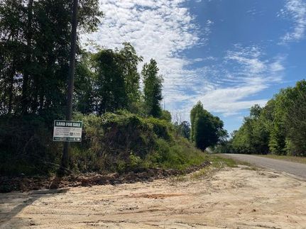 Farm and Ranch in Bullock County, Alabama