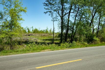 Undeveloped Land in Jefferson County, Georgia
