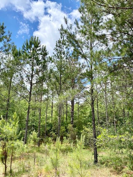 Recreational Property in Mobile County, Alabama