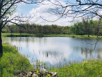 Recreational Property in DeWitt County, Illinois