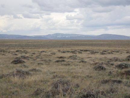 Recreational Property in Albany County, Wyoming
