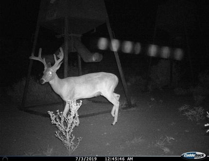 Farm and Ranch in Edwards County, Texas