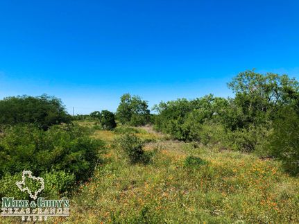 Undeveloped Land in Live Oak County, Texas