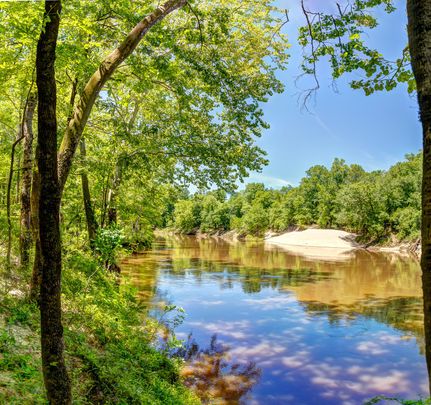 Recreational Property in Escambia County, Alabama