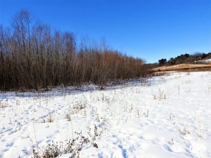 Undeveloped Land in Fayette County, Iowa