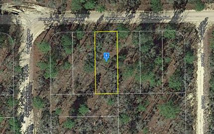 Recreational Property in Putnam County, Florida