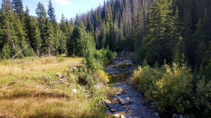 Undeveloped Land in Jefferson County, Montana
