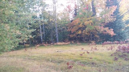 Undeveloped Land in Mackinac County, Michigan