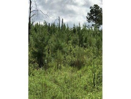 Recreational Property in Taylor County, Georgia