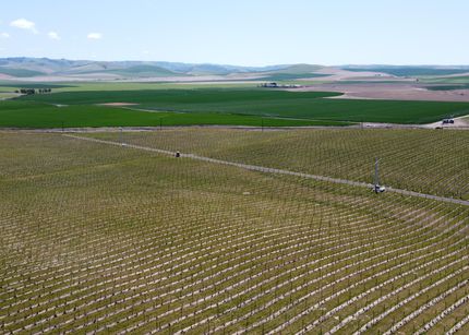 Farm and Ranch in Umatilla County, Oregon