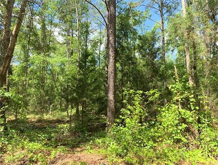 Farm and Ranch in Terrell County, Georgia