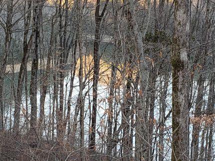 Timberland Property in Moore County, Tennessee
