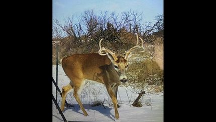 Recreational Property in Childress County, Texas