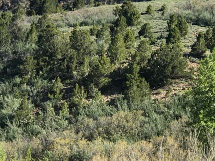 Recreational Property in Duchesne County, Utah